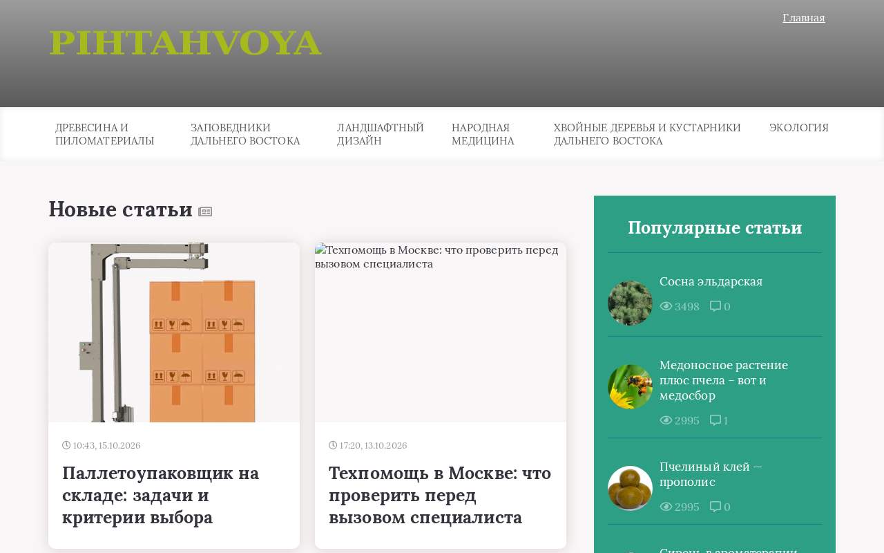 Главная страница: PIHTAHVOYA.RU - Берегите хвойные леса