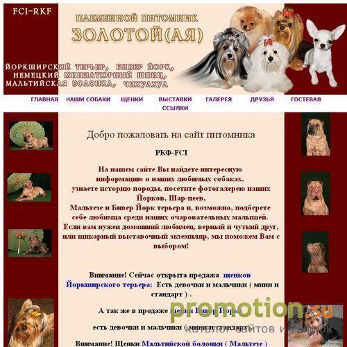 Архивное изображение: Шар-пей и Китайская хохлатая