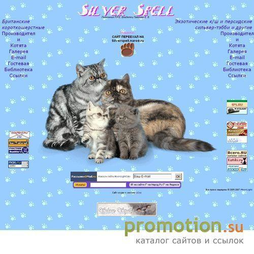 Архивное изображение: Silver Spell * RU - питомник экзотов и персов