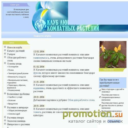 Архивное изображение: Клуб любителей комнатных растений