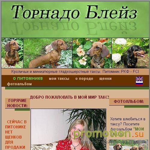 Архивное изображение: ТАКСЫ КРОЛИЧЬИ и МИНИАТЮРНЫЕ "ТОРНАДО БЛЕЙЗ"
