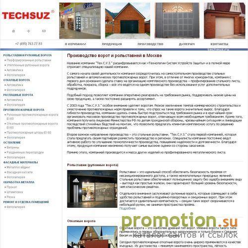 Архивное изображение: Ворота и рольставни от производителя TECHSUZ