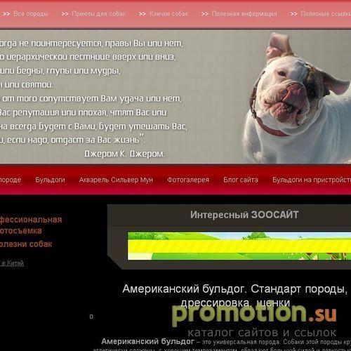 Архивное изображение: Американский бульдог