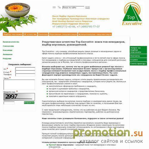 Архивное изображение: Top Executive