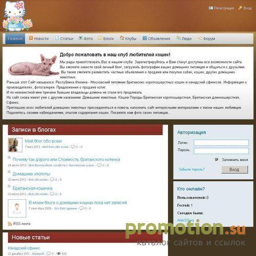 Архивное изображение: Питомник канадских сфинксов и британской кошки