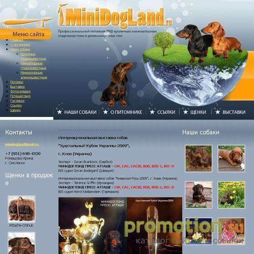 Архивное изображение: На сайте minidogland.ru лучшие таксы щенки таксы