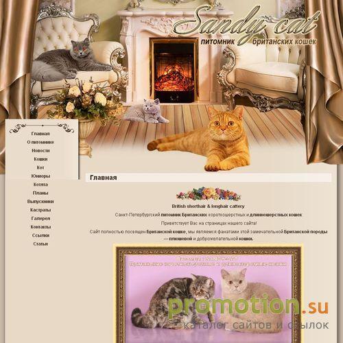 Архивное изображение: Sandy-Cat: шотландская голубая вислоухая