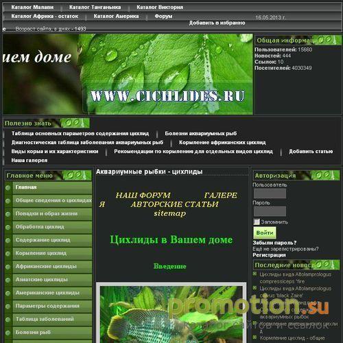 Архивное изображение: Семейство цихлидов - болезни цихлид