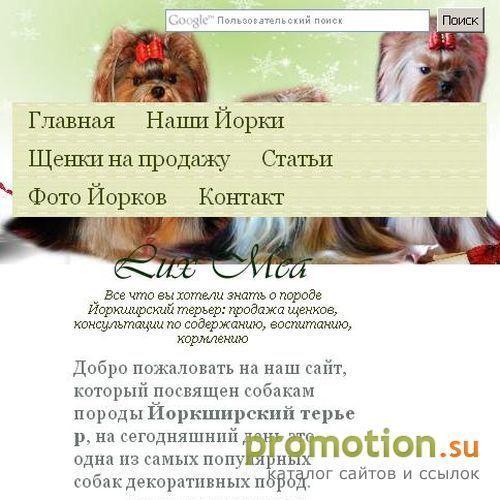 Архивное изображение: Йоркширский терьер: продажа щенков