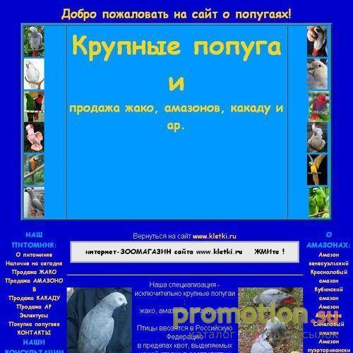 Архивное изображение: Мастерская крупных попугаев - Elitbigparrots.Ru