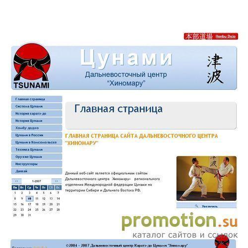 Архивное изображение: Сайт центра каратэ-до Цунами