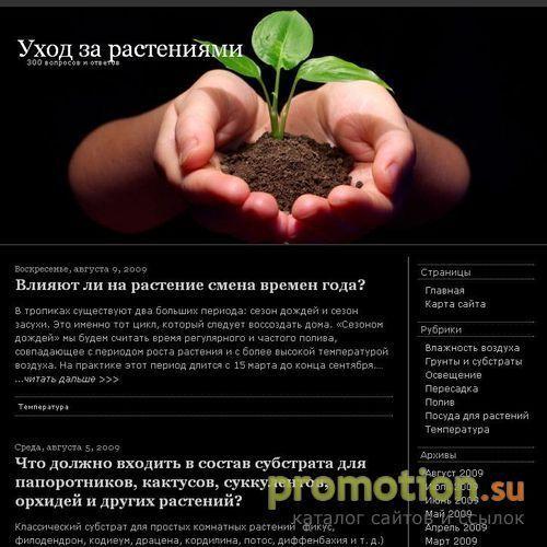 Архивное изображение: Букеты из конфет