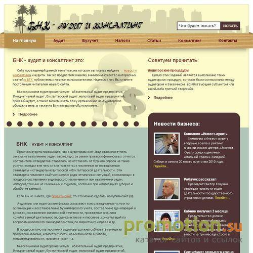 Логотип Аудиторская фирма «БНК»