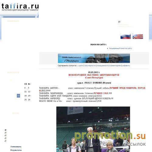 Архивное изображение: Длинношерстный чихуахуа - питомник Таффира