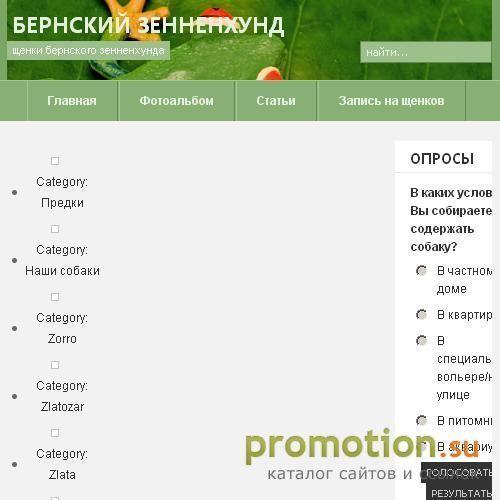 Архивное изображение: Купить щенка Бернский зенненхунд Сайт заводчика