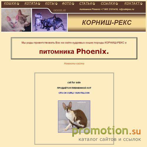 Логотип Маленькие собаки на Cat4you.ru