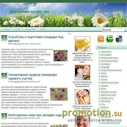 Архивное изображение: Домашние цветы