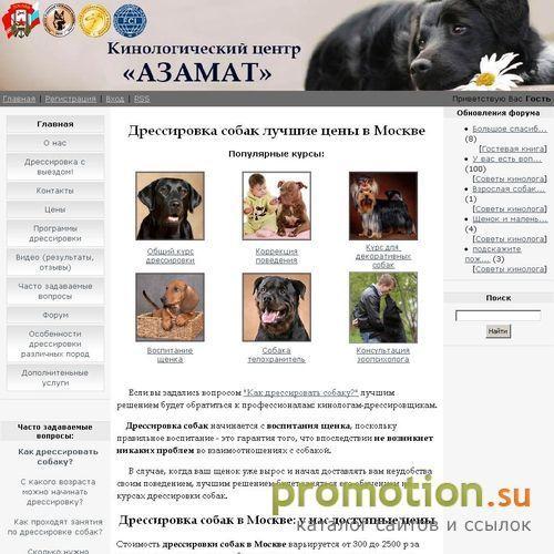 Архивное изображение: Дрессировка