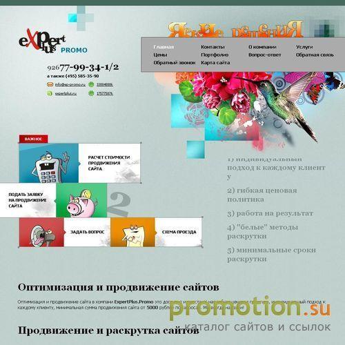 Архивное изображение: Сайт про поисковое продвижение