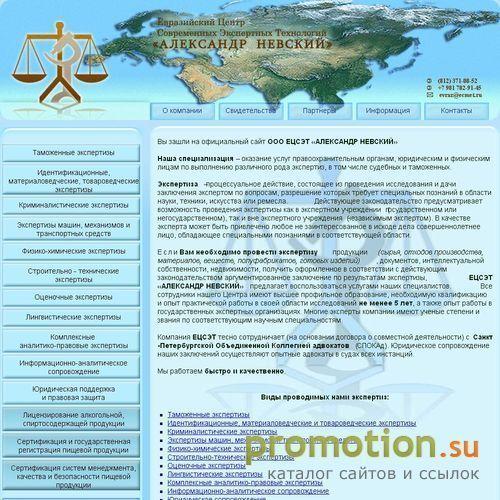 Архивное изображение: ЕЦСЭТ «АЛЕКСАНДР НЕВСКИЙ»