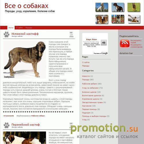 Архивное изображение: Сообщество дрессировщиков собак