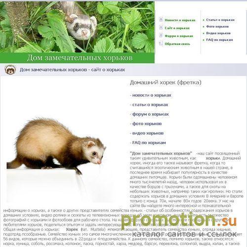 Архивное изображение: Фретка - домашний хорек