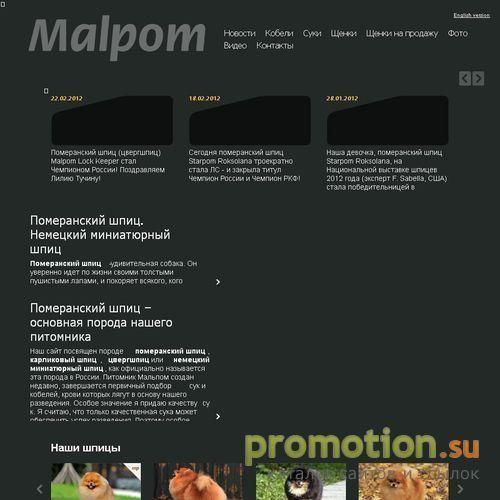 Архивное изображение: Питомник померанских шпицев Malpom