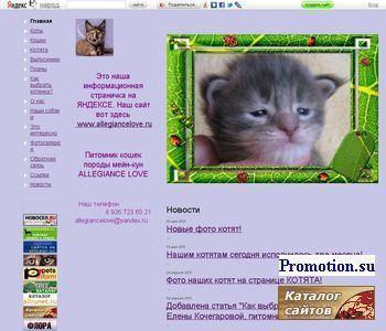 Архивное изображение: Питомник кошек породы мейн-кун Allegiance Love