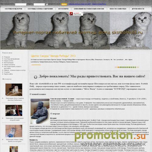 Логотип Сайт скоттиш-фолд