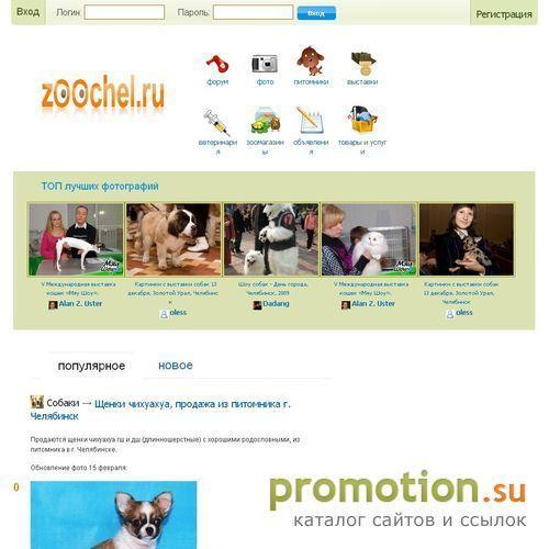 Архивное изображение: Сайт для любителей животных "Zoochel.Ru" - информа