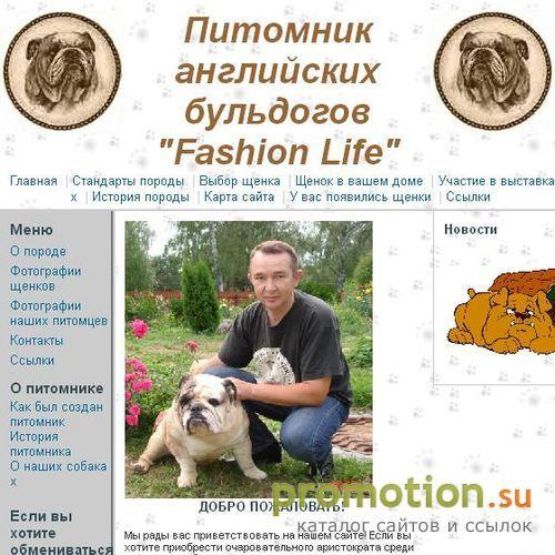 Архивное изображение: Английский бульдог