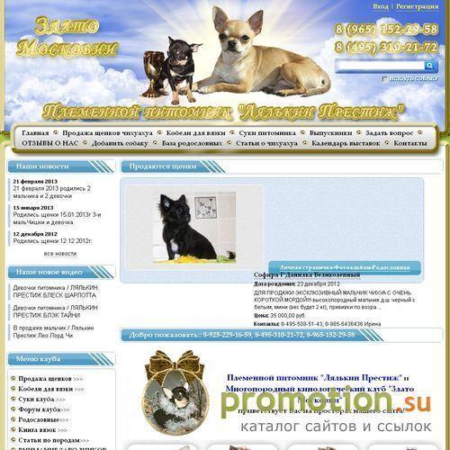 Архивное изображение: Пекинеса щенки от заводчика