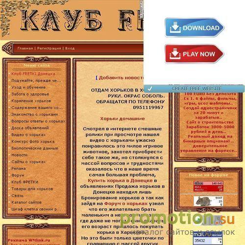 Архивное изображение: fretki