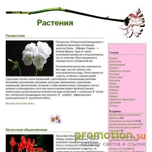 Архивное изображение: Poison-Flora.Net - читайте статьи про гиацинт, коп