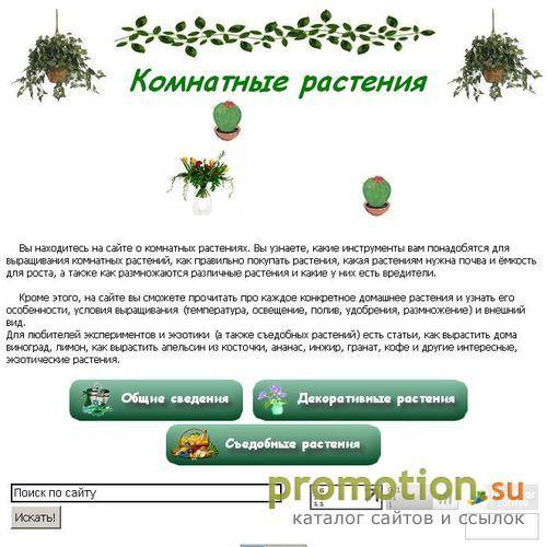 Архивное изображение: Комнатные растения