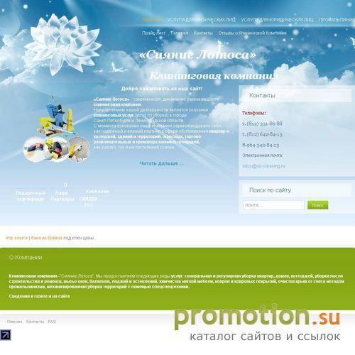 Архивное изображение: slc-cleaning.ru