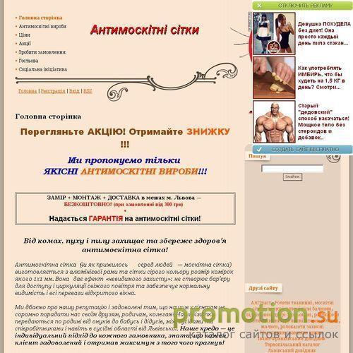 Архивное изображение: Антимоскітні сітки у Львові