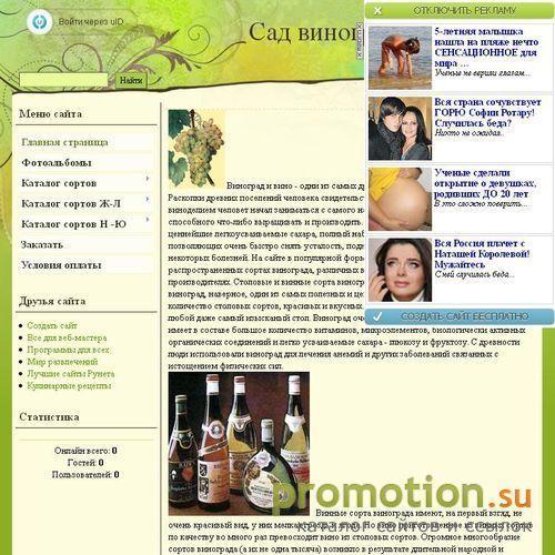 Архивное изображение: Саженци винограда почтой и в Казахстан, виноград