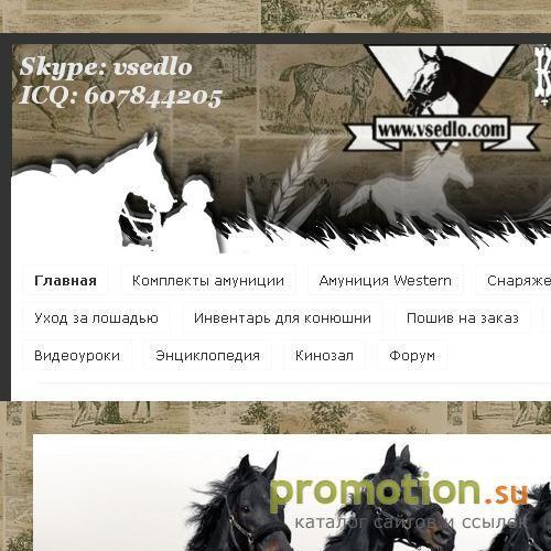Архивное изображение: Конный магазин "Седло"