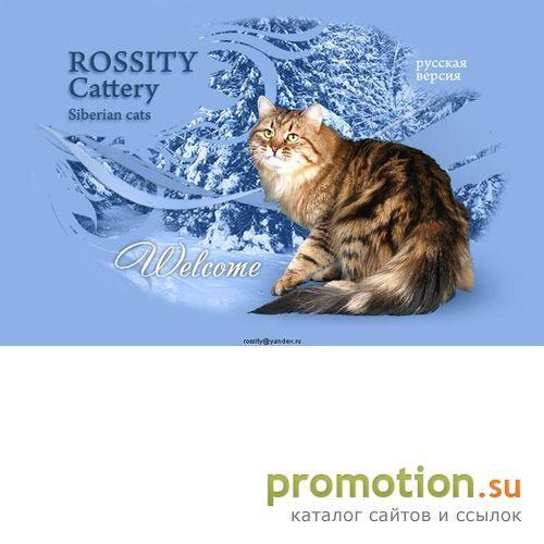 Архивное изображение: Россити питомник сибирских кошек/Rossity Cattery/