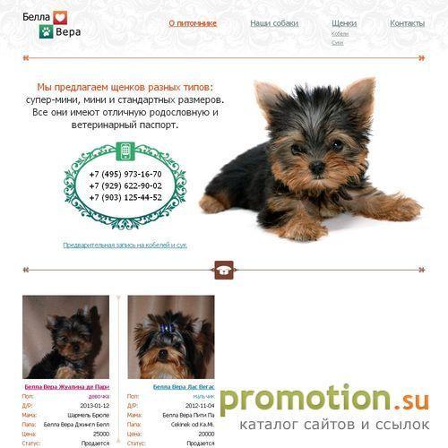 Архивное изображение: Интернет-сайт York-terrier.info - отличная возможн