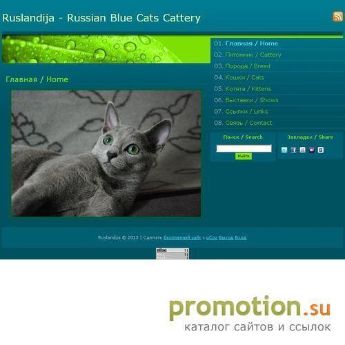 Архивное изображение: Питомник русских голубых кошек Ruslandija