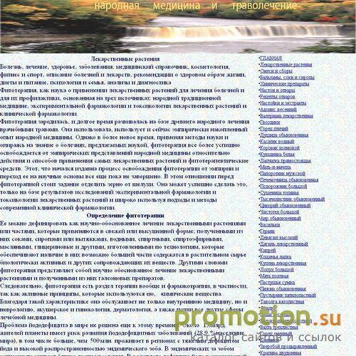 Архивное изображение: лекарственные травы
