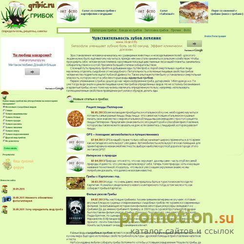 Архивное изображение: Рецепты засолки грибов