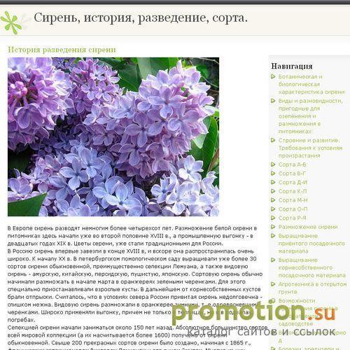 Архивное изображение: Сирень - сорта сирени, заболевания сирени