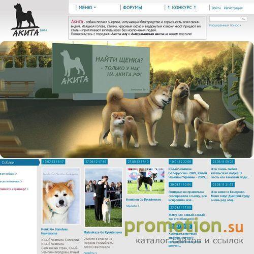 Архивное изображение: Акита.рф - Акита ину, продажа породистых щенков