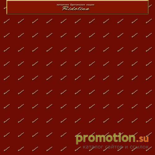 Архивное изображение: Британские котята из питомника Ridolina