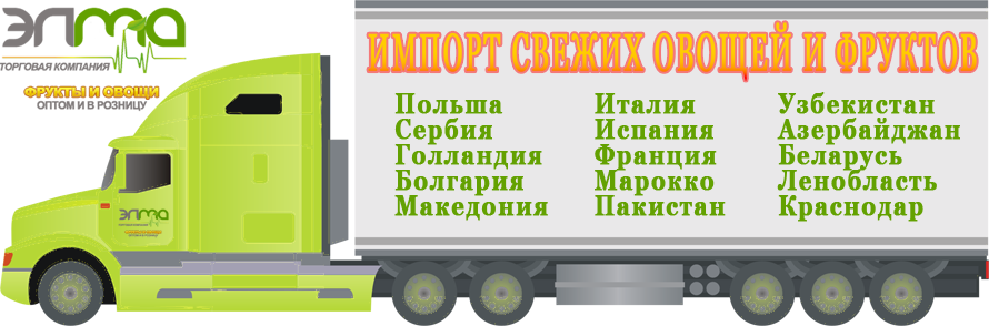 Архивное изображение: ООО ЭЛМА оптовый импортер фруктов и овощей