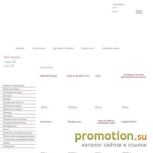 Архивное изображение: Интернет магазин Pion-online