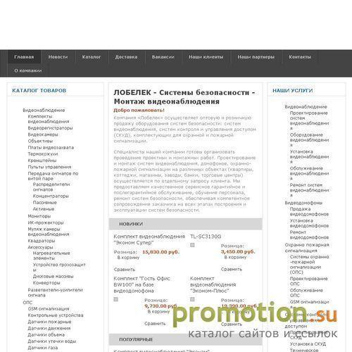 Архивное изображение: Лобелек - системы безопасности